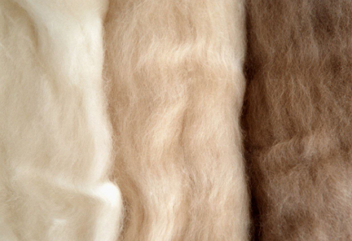 What is the difference between cashmere and wool? How to wash a cashmere coat at home?