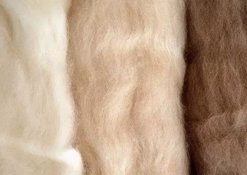 What is cashmere? What are the advantages and disadvantages of cashmere fabric?